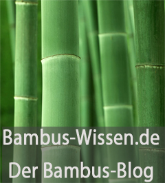 Das Lexikon zum Thema Bambus als nachwachsender Rohstoff