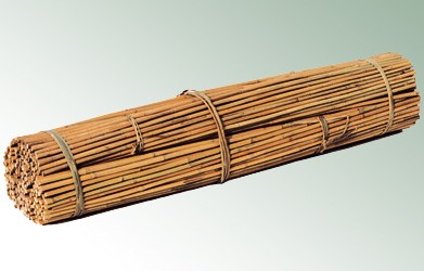 Tonkinstäbe werden im Garten als Pflanzstäbe und Rankhilfen verwendet. Ein Tonkinstab ist ein dickwandiges Bambusrohr / Bambusstange von einer speziellen Bambusart. Tonkinstäbe werden mit einem Durchmesser von 0,3 bis 3 […]