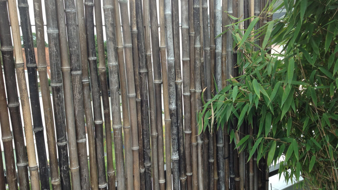 Bambus als Baustoff