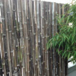 Bambus als Baustoff